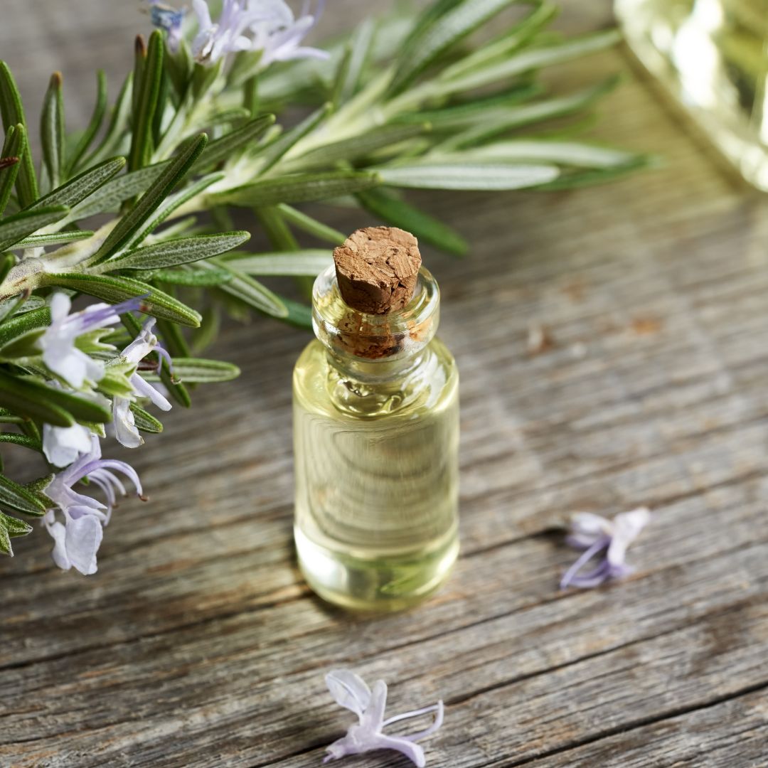 5 Benefícios do Óleo Essencial de Alecrim - Aloés Natura